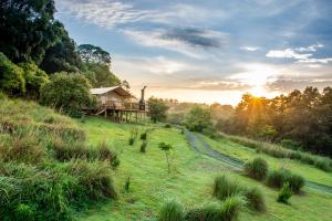 une maison sur une colline dans un champ herbeux dans l'établissement AfriCamps at Gowan Valley, à Balgowan