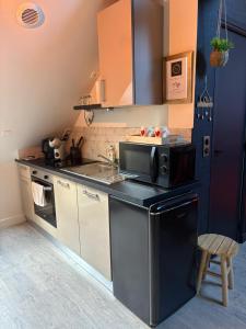 eine Küche mit Spüle und Mikrowelle in der Unterkunft L instant Love, passion pure in Verneuil d’Avre et d’Iton