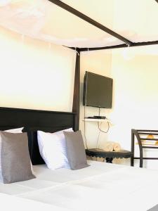 Μια τηλεόραση ή/και κέντρο ψυχαγωγίας στο Conch Villa- 3 Min walk to the beaches +19 φωτογραφίες