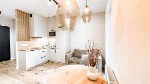 Η κουζίνα ή μικρή κουζίνα στο Piotrkowska 44 Apart By DreamAp +6 φωτογραφίες