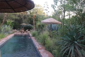 einen Pool mit einem Sonnenschirm und einem Tisch in der Unterkunft BIOtorisme-chama in Taroudant