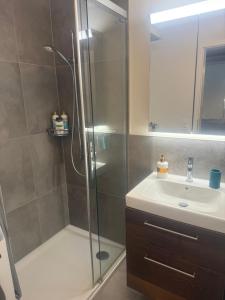 un baño con ducha y lavabo en Luxury Studio Happy Life, en Blumenstein