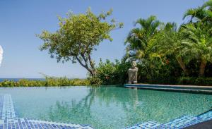 普拉卡海尔Casa Serena Luxury Retreat in Reserva Conchal的一座雕像,位于游泳池旁