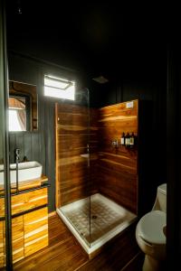 a bathroom with a shower with a toilet and a sink at Hotel Coyote in San Miguel de Allende +61 photos