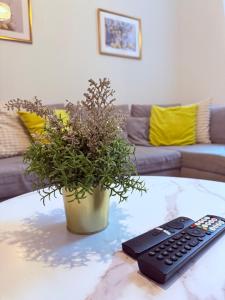 a remote control and a potted plant on a coffee table at Art&Heart - Centre historique in Béziers