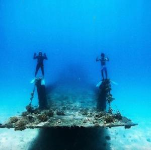 Hosté ubytování Fini Palace + 14 fotografií