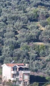 una casa en la ladera de una colina con árboles en Syzes, en Polisi i Vogël