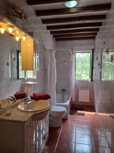 a bathroom with a toilet and a sink and a tub at Casa Cordovilla in Sequeros