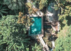 an aerial view of a pool in a forest at Réveil face à la mer - Plage à 2 min - Résidence calme in Gourbeyre