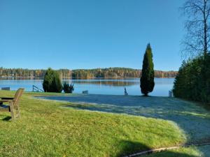 een park met een bankje naast een meer bij Järvenranta in Jämsä