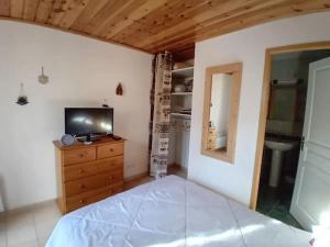 ein Schlafzimmer mit einem Bett und einem Fernseher auf einer Kommode in der Unterkunft Chalet moderne à Formiguères de 80 m² avec terrasse in Formiguères