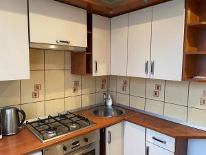 Köök või kööginurk majutusasutuses Big apartment for four