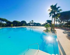 ein großer Pool neben einem Strand mit Palmen in der Unterkunft GASMED29 - Golfe de St-Tropez - Maison climatisée 3 chambres avec beau jardin et aperçu mer in Gassin