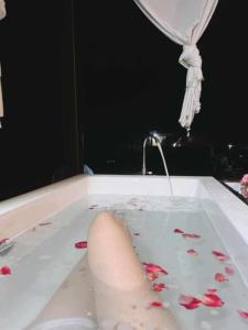 Φωτογραφία από το άλμπουμ του วันเดย์ภูทับเบิก σε Ban Maeo Thap Boek