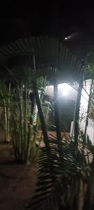 Κήπος έξω από το Yala Tropical Lodge