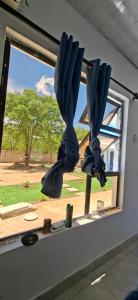 una ventana con dos sombrillas en una habitación en DREAMS INN guest house, en Maun