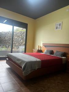 ein Schlafzimmer mit einem Bett und einem großen Fenster in der Unterkunft Fernanda's House in Ribeira Brava