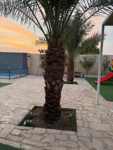 a palm tree in a courtyard with a playground at شالية السحاب in Al Ḩazm