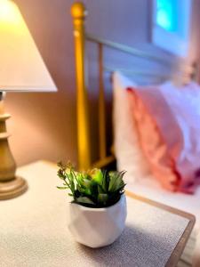 a small plant in a white bowl on a table at The Hamilton Harbor House in Oswego