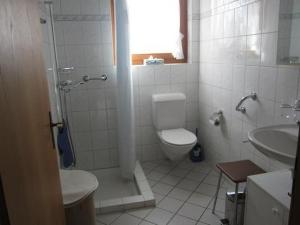 Un baño con inodoro, ducha y lavabo. en Steinern, en Ufhusen