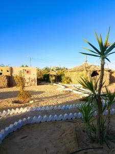 a resort with a palm tree and a building at El Dorado Camp in Siwa +48 photos