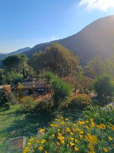 Nespecifikovaný výhled na hory nebo výhled na hory při pohledu z bed and breakfast