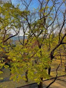 Příroda nedaleko apartmánu