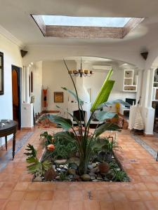 Χώρος καθιστικού στο DAR YAYA - Maison style Riad - Vue Océan - Diabat - Essaouira