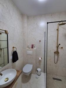 a bathroom with a shower and a toilet and a sink at Apartament Suceava in Ipoteşti