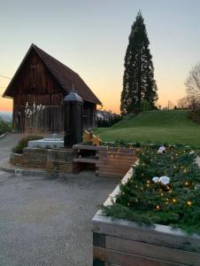 施泰尔Yellow House Apartments - Top 2的一栋小房子，前面摆着一棵圣诞树。