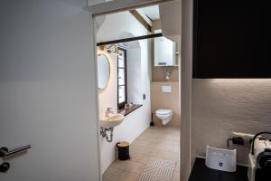 une salle de bain avec un lavabo, des toilettes et un miroir dans l'établissement Adlernest, à Bad Radkersburg 30 autres photos