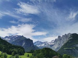 Příroda nedaleko apartmánu + 1 fotografie