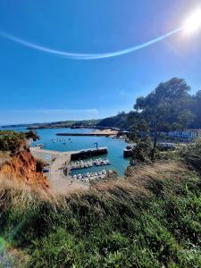 un gruppo di imbarcazioni ormeggiate in un bacino idrico di Jona Candás Asturias a Candás Altre 49 foto