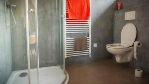 Un baño con inodoro y ducha en Apartmány a camp Telč - U Roštěnky, en Telč 95 fotos más