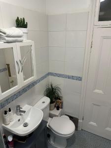 a bathroom with a white toilet and a sink at Effra Mansions in London
