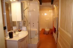 ein Badezimmer mit Dusche, Waschbecken und Toilette in der Unterkunft Ginepro Verde Apartment in Lorenzago + 2 Fotos