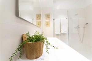 ein Badezimmer mit einer Topfpflanze auf einer Theke in der Unterkunft KOPKE 113, local & spacious 2Bed in Porto + 81 Fotos