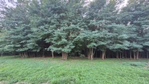 Vườn quanh Unita Vendégház +2 ảnh