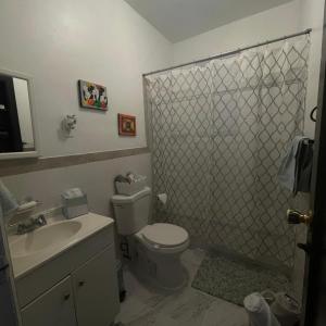 a bathroom with a shower and a toilet and a sink at Comodo y economico Apartamento in North Beach +30 photos