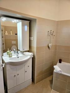 a bathroom with a sink and a mirror at Útulný apartmán s výhledem do kraje K J Erbena in Miletín +7 photos