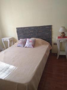 ein Schlafzimmer mit einem Bett mit zwei Kissen darauf in der Unterkunft Chalet y rio in Villa Carlos Paz
