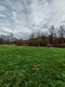 a field of green grass with a cloudy sky at Bachvarov house Бъчваровата къща in Palitsi