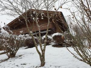 una casa cubierta de nieve frente a un árbol en Chalet Traumfleck, en Necker
