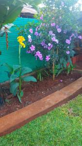 einen Garten mit lila und rosa Blumen und einem Zaun in der Unterkunft Silvia in Puerto Libertad + 2 Fotos