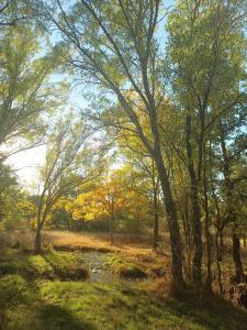 Φυσικό τοπίο κοντά σε αυτή η παραθεριστική κατοικία