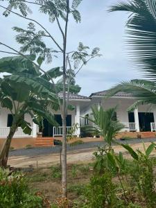 Aed väljaspool majutusasutust Grandma's Samui Garden - บ้านสวนคุณย่า