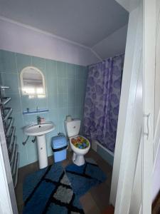 ein kleines Badezimmer mit Toilette und Waschbecken in der Unterkunft ЯВіС in Mamaivci Village