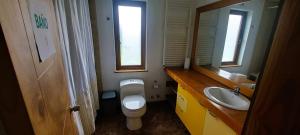 ein Badezimmer mit Toilette, Waschbecken und Spiegel in der Unterkunft Anahata Lodge, Alojamiento Tranquilo en Medio de la Naturaleza in Puerto Varas