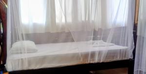 a bed sitting in a window with a curtain at El Pital, Chocolate Paradise in Balgue