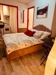 ein Schlafzimmer mit einem großen Bett in einem Zimmer in der Unterkunft Studio cosy en plein centre in Chalon-sur-Saône
